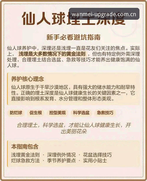 完美体育登录入口 深度揭秘完美体育登录入口:新手必看的避坑指南与实战解析